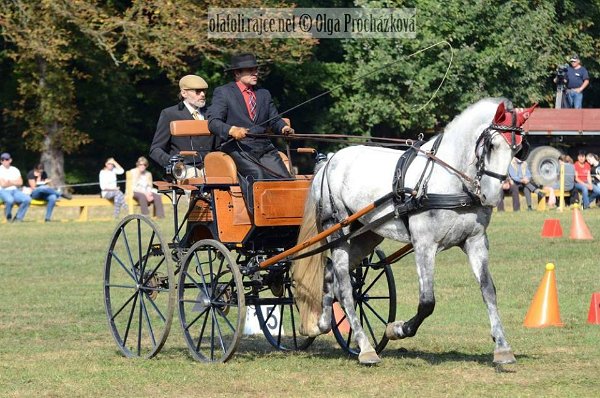 14440852_578611859006701_3508670411126802943_n