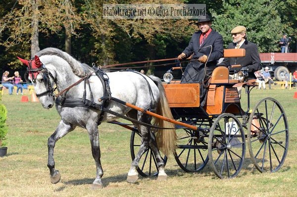 14440971_578611862340034_7681561234663624825_n