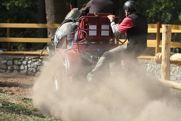 14479529_578611925673361_3992051604837172410_n