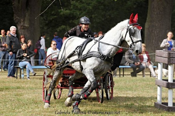 14502863_578611855673368_5867409573370516045_n