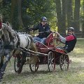 mistrovstvi-ceske-republiky-sprezeni-hermanuv-mestec-23-25-9-2016