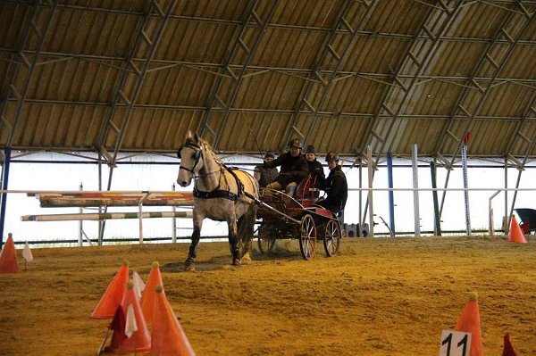 16508652_643227192545167_7389886691315764477_n-1