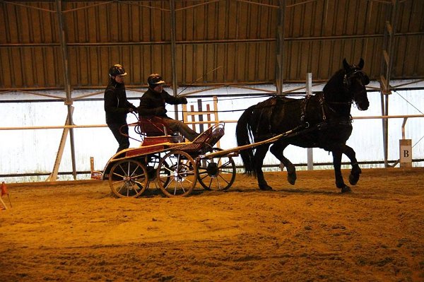 16684209_643227195878500_4476004209325704844_n-1