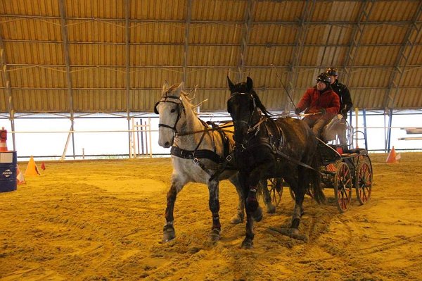 16711624_643227239211829_4386801698801775602_n-1