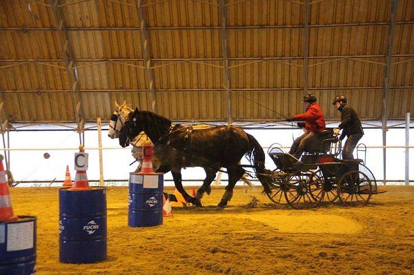 16730393_643227189211834_7504601457075555933_n-1