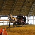 moravsky-vozatajsky-pohar-mikulov-14-1-2017