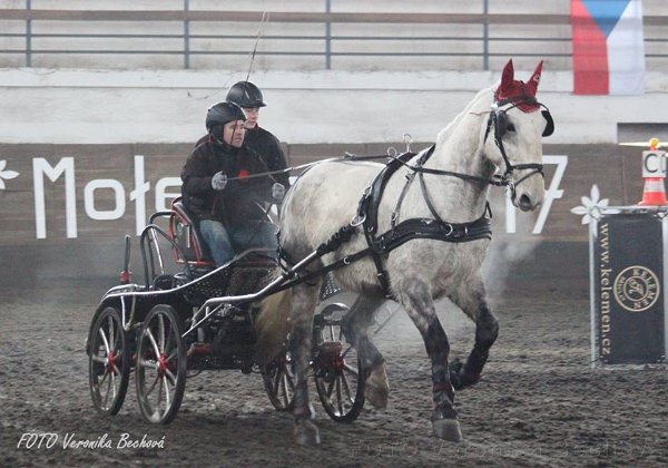 16602683_643227662545120_7480107224491970076_n