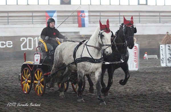 16708188_643227479211805_3160592471067890939_n