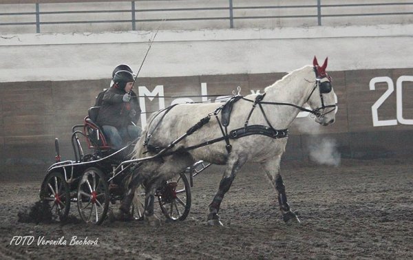 16708675_643227642545122_5231928084025665159_n