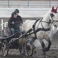 moravsky-vozatajsky-pohar-motesice-4-2-2017