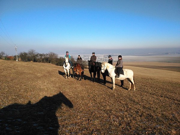 15780647_10154923094619182_5660569975838447284_n-1