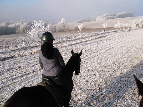 15823285_10154923090594182_3731233404116900372_n-1