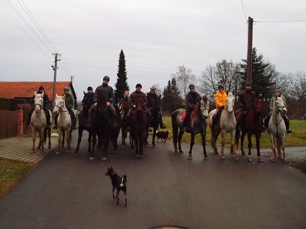 26112188_787159928151892_7176908112651276676_n