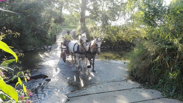 14446145_578120469055840_4408768468853842909_n