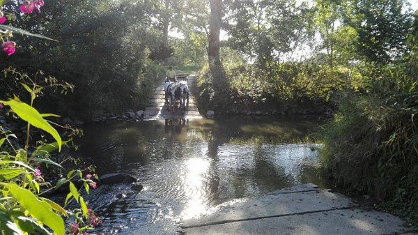 14469524_578120465722507_7695520416496741960_n