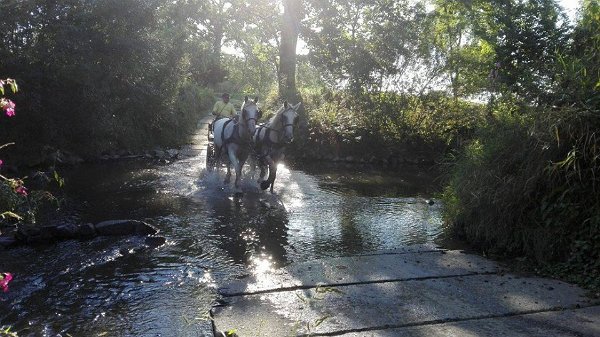 14484673_578120462389174_6784373990130925868_n