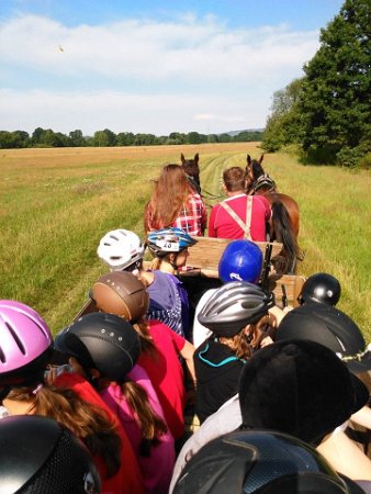 13872947_555763857958168_5198088482525084_n