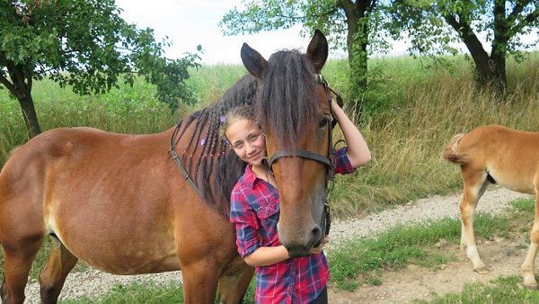 13900164_555764431291444_7427731847721353507_n