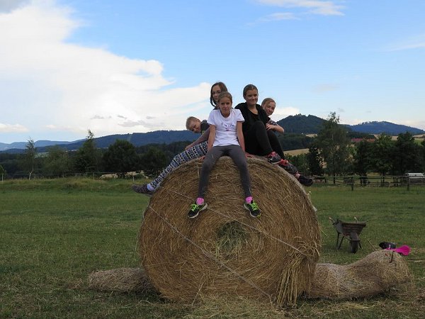 11228901_445910035610218_6164987385246685289_n