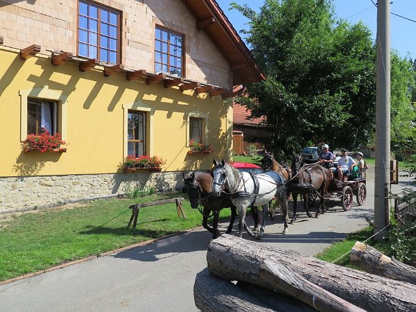 11889523_445910465610175_8021075625260383387_n