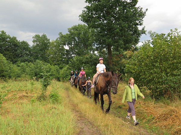 11903740_445910168943538_4170617398487166357_n