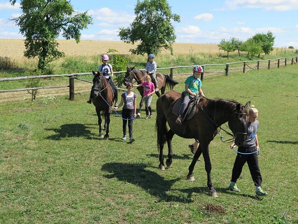 11903798_445909602276928_4144259371555320000_n