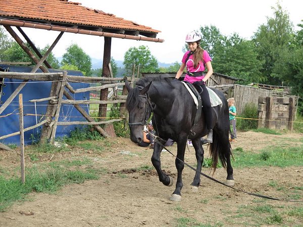 11949460_445909378943617_1064433337296142355_n