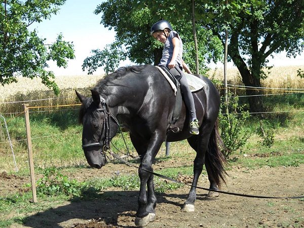 11951779_445909612276927_4448882902114321755_n