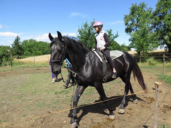 11954846_445909692276919_7065445926843894695_n