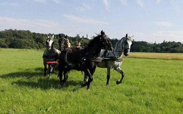 19756450_711758392358713_6233111196323060109_n