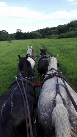 19904904_711758405692045_2950433968482679443_n