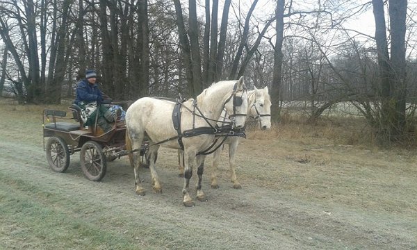 26234381_1618998331495313_971820379_n