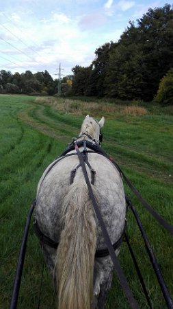 22228305_749160291951856_5462134246052968404_n