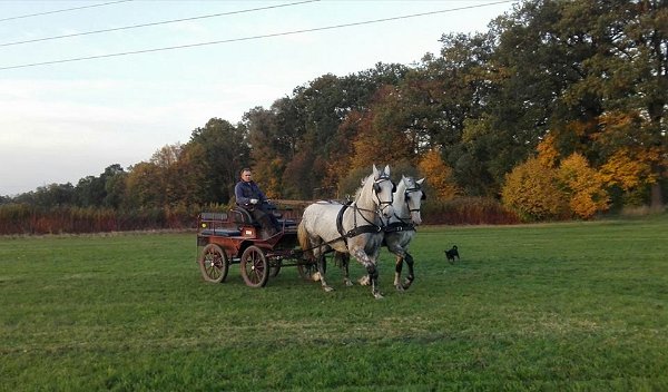 22366832_751691798365372_3809595029282091728_n