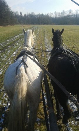 27972719_808828982651653_4868096229475619095_n