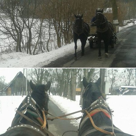 27973620_809457582588793_3065463574374043657_n