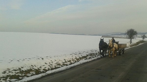 28279097_810726479128570_4771167302103709249_n