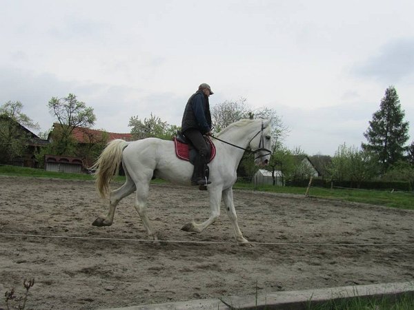 11219575_445892975611924_82675270385293179_n