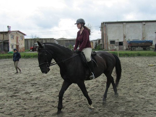 11903958_445892945611927_4055352090510148124_n