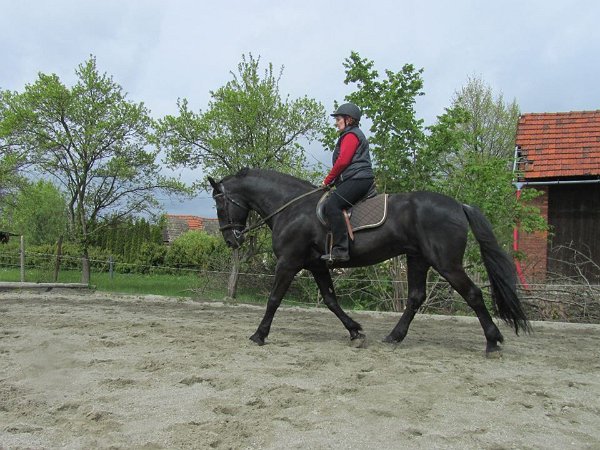 11949428_445893008945254_6242745684495974013_n