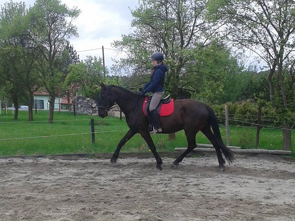 11953186_445892978945257_3148116817977525808_n