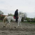 trenink-s-ladou-zuvacovou-1-5-2015