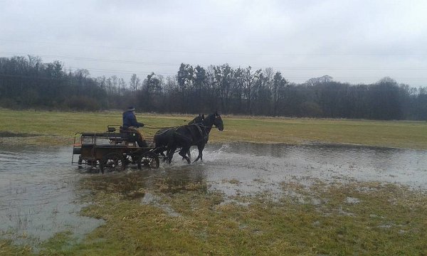 26814696_796308177237067_812044017630326333_n