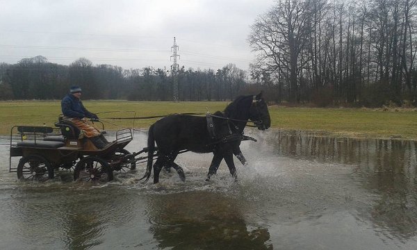 27336303_796308203903731_5707744618760851123_n