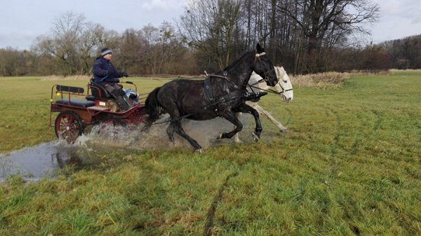 26105296_1618995358162277_1902481778_n