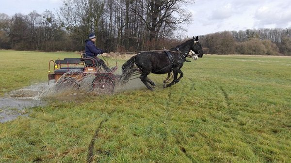 26135185_1618995368162276_338975704_n