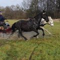 trenink-xageny-37-regalisy-5-ve-dvojsprezi