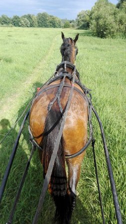 19961394_713604035507482_2262217094827013669_n