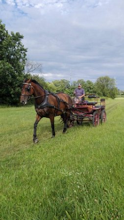 19961415_713604012174151_2490470952546064373_n