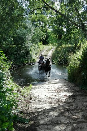 19989511_713603988840820_8330269878887606584_n